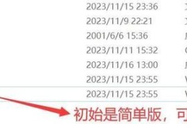 蓝色警戒1下载，1.  版权与法律问题